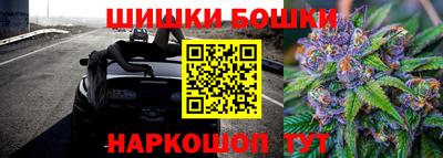 индика Ипатово