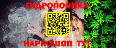 индика Ипатово