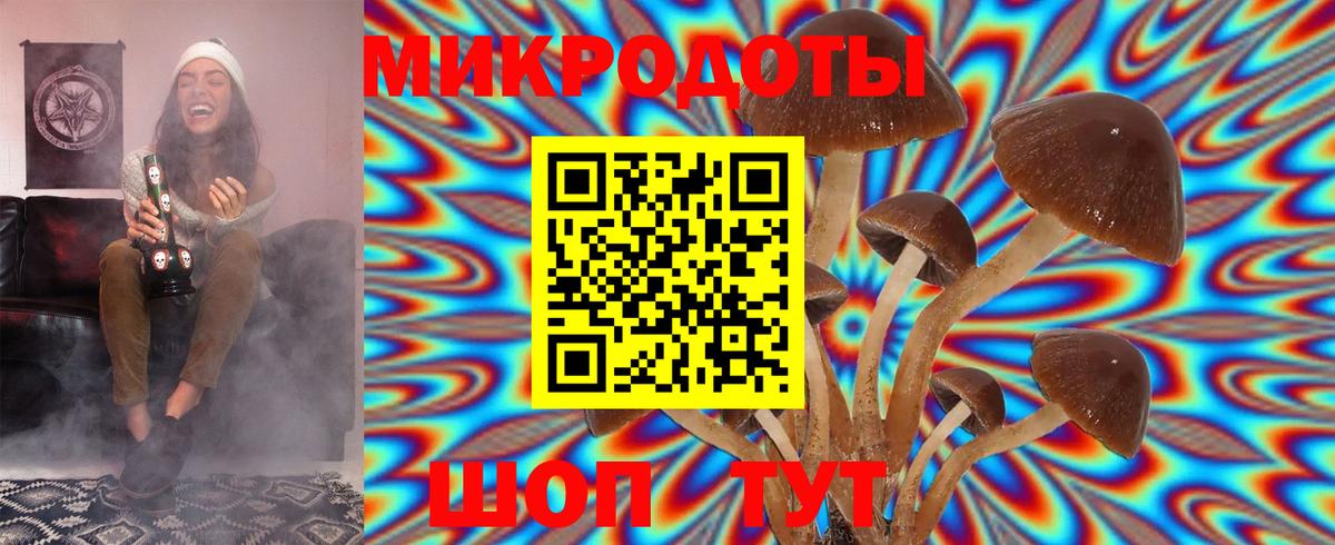 Псилоцибиновые грибы прущие грибы  Вход с VPN  Галлюциногенные грибы Psilocybe  Когалым 